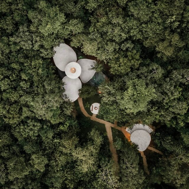 En el corazón de Yucatán, Trillium Awakening representa un enfoque innovador de hospitalidad sostenible, diseñado para armonizar con el entorno natural. Este proyecto, que se pretende replicar en diversas ubicaciones de la región, se inspira en las formas orgánicas de la naturaleza y redefine la relación entre arquitectura, paisaje y funcionalidad.

@awakeningtrillium 
@arquitectura_y_bambu
Arquitectura: @nodstudiomx
Fotografías: @santiagobaravalle.spaces 

———————————————————————————
Más proyectos en
www.urbana-design.com.mx

Envía tus proyectos
contacto@urbana-design.com.mx